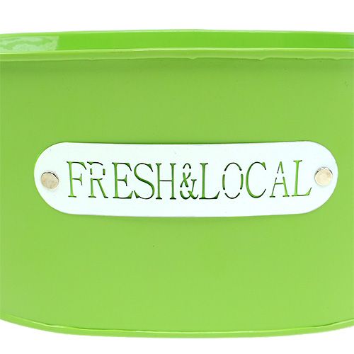 Floristik24 Bol étain ovale vert 22cm x 15cm H10cm