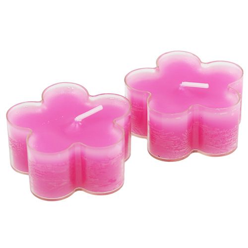 Bougie fleur fuchsia 12 p. | Floristik24.fr
