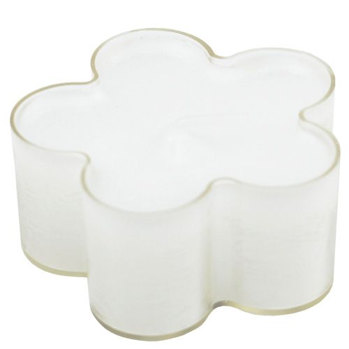 Floristik24 Bougie fleur blanche 12 p.