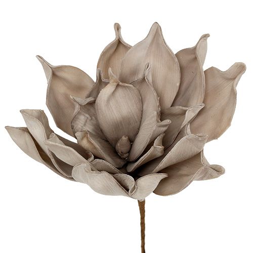 Article Branche de fleur mousse gris 65cm