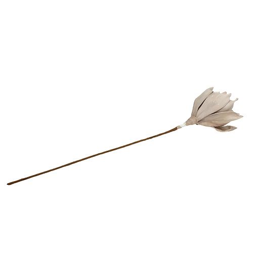 Article Branche de fleur mousse gris 65cm