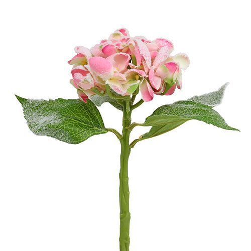 Hortensia rose neigé 33cm 4pcs