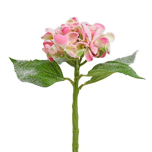 Floristik24 Hortensia rose avec neige 33cm 4 pcs