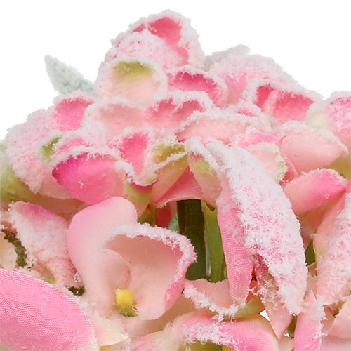 Hortensia rose neigé 33cm 4pcs