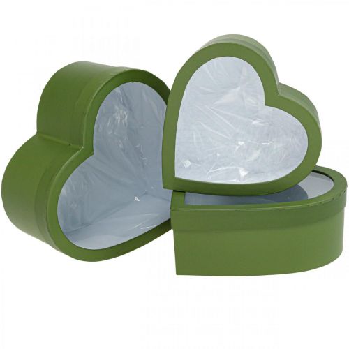 Floristik24 Coffret Fleur Coeur Flowerbox Vert 24/21.5/19cm Lot de 3