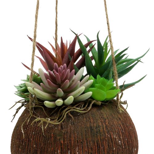 Floristik24 Panier suspendu avec succulentes artificielles L65cm Ø16cm