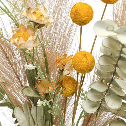 Floristik24.fr Bouquet de fleurs artificielles Craspedia plume herbe  eucalyptus 55cm - acheter pas cher en ligne