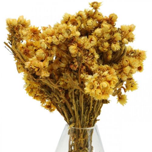 Article Mini fleur de paille bouquet de fleurs séchées jaune bouquet sec H20cm 15g