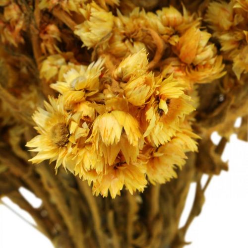 Article Mini fleur de paille bouquet de fleurs séchées jaune bouquet sec H20cm 15g