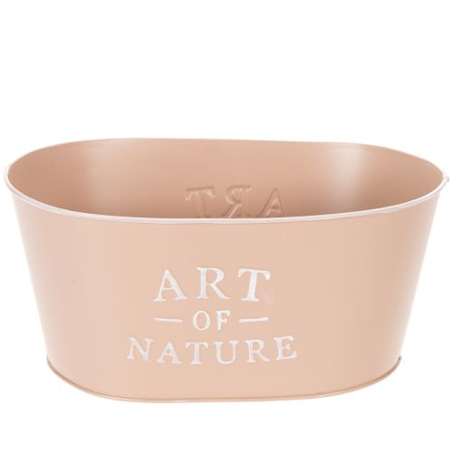 Coupe ovale en zinc, rose antique, pot de fleurs, 27 × 18 cm, H 12,5 cm acheter | Floristik24.fr