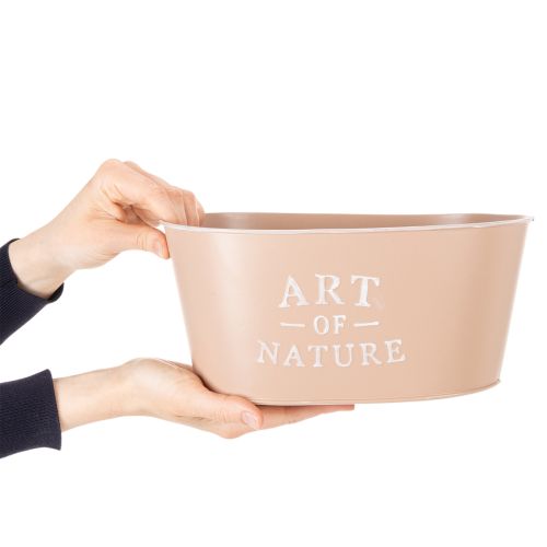 Coupe ovale en zinc, rose antique, pot de fleurs, 27 × 18 cm, H 12,5 cm | Floristik24.fr