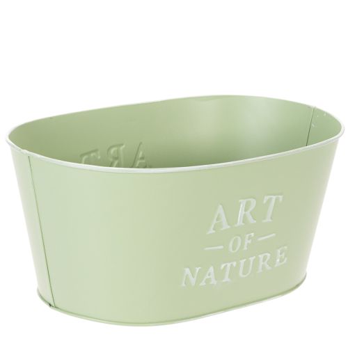 Coupe à fleurs ovale en zinc vert menthe 27×18cm H12,5cm | Floristik24.fr