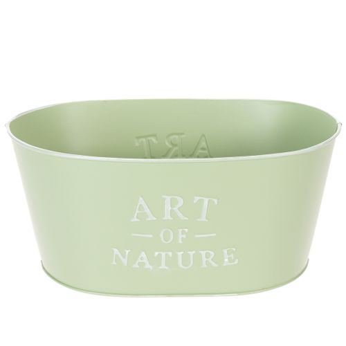 Coupe à fleurs ovale en zinc vert menthe 27×18cm H12,5cm acheter | Floristik24.fr