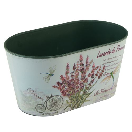 Floristik24 Bol à fleurs ovale pot de fleur lavande plastique 21,5×12,5cm H11cm