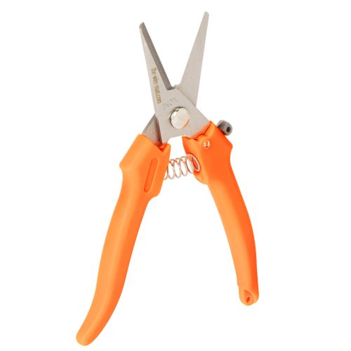 Ciseaux à fleurs en acier inoxydable et manche orange 19 cm pour floristique
