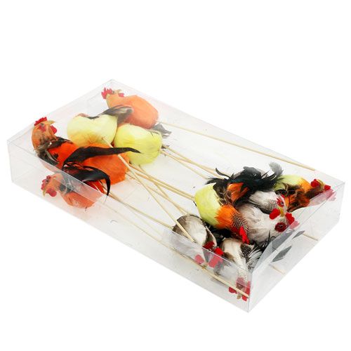 Floristik24 Plug fleur coq couleurs assorties 25cm 12pcs