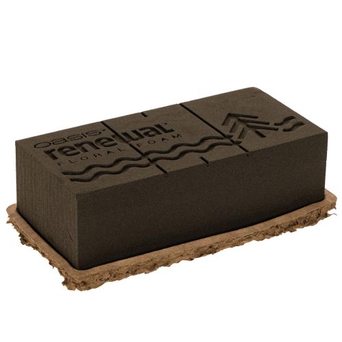 Article Mousse florale OASIS® Renewal® Biolit®, brique 24 × 13 × 8 cm, marron, lot de 2 pour compositions florales