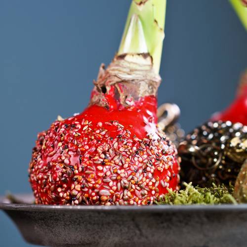 Article Cire à tremper pour fleurs 1kg Rubis
