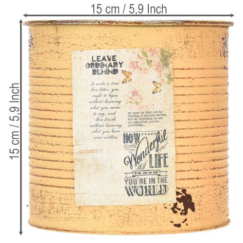 Article Pot de fleurs vintage de 15 cm (lot de 3) pour la décoration du salon et du bureau