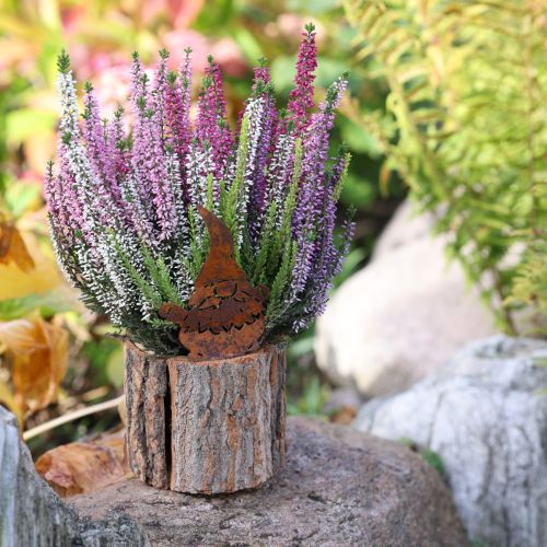 Article Pot de fleurs en bois écorce jardinière gnome rouille H24cm