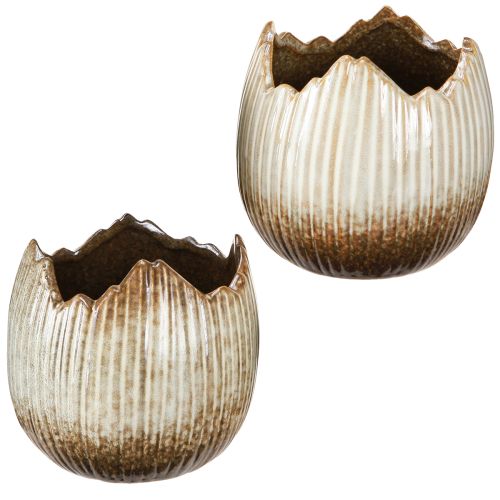 Floristik24 Pot de fleurs en céramique œuf cassé crème marron Ø11,5 cm 2 pcs