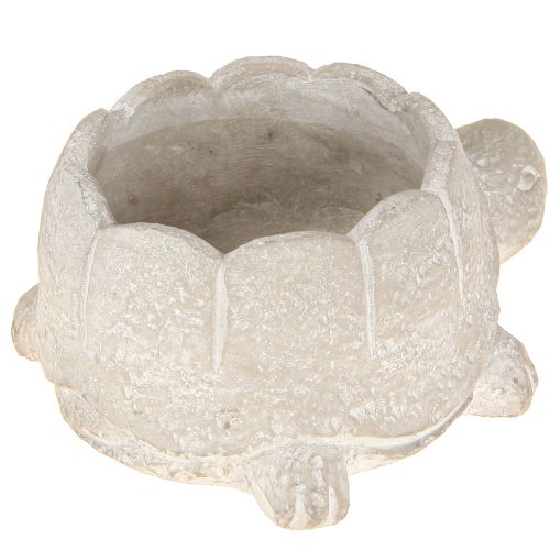 Article Pot de fleurs tortue décoration béton gris blanc 15,5 cm 2 pièces