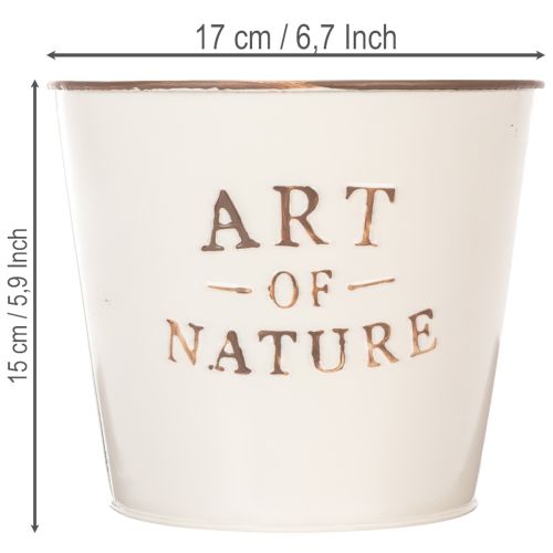 Pot de fleurs en zinc Art of Nature Crème Ø17,5 cm H15 cm | Floristik24.fr