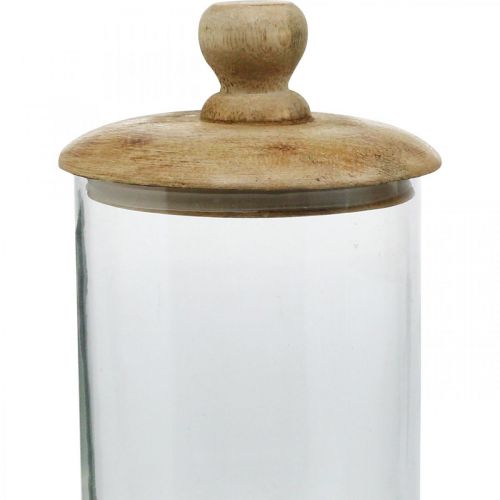 Floristik24 Bocal en verre avec couvercle, bonbonnière, bocal en verre couleur naturelle, transparent Ø11cm H19cm 2pcs