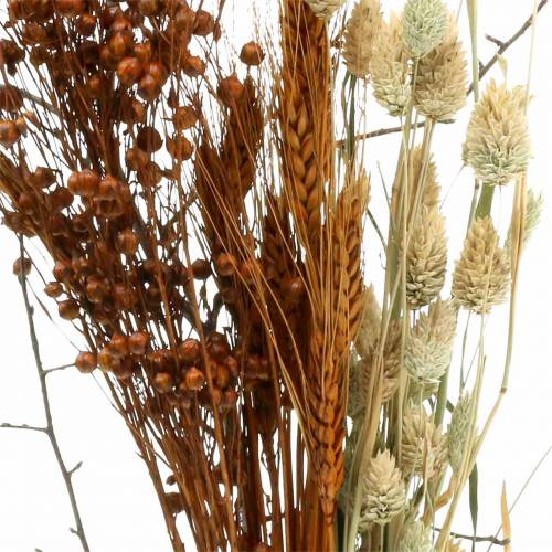 Floristik24 Bouquet de fleurs sauvages nature, orange 25–60cm 65g