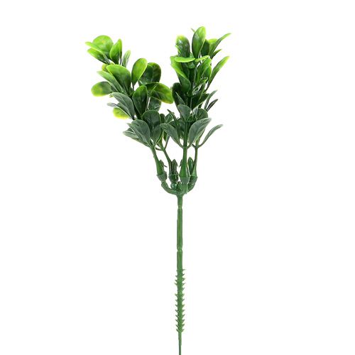 Floristik24 Branche de buis verte L. 20 cm 12 p.