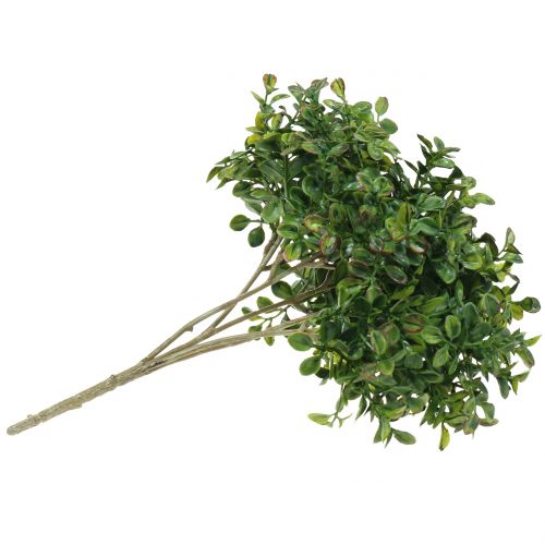 Floristik24 Branche de buis vert 27cm