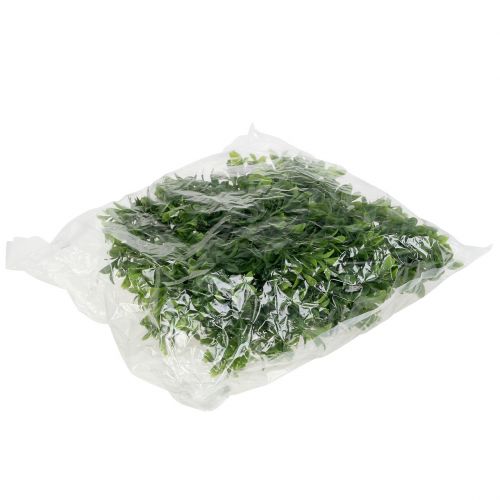 Floristik24 Guirlande de buis vert 180cm