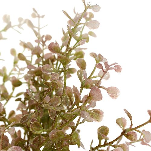 Floristik24 Branche de buis rose, rose avec mica 32cm
