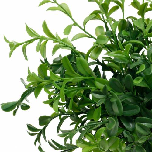 Floristik24 Boite branches buis sur pique plante verte artificielle 6 pcs