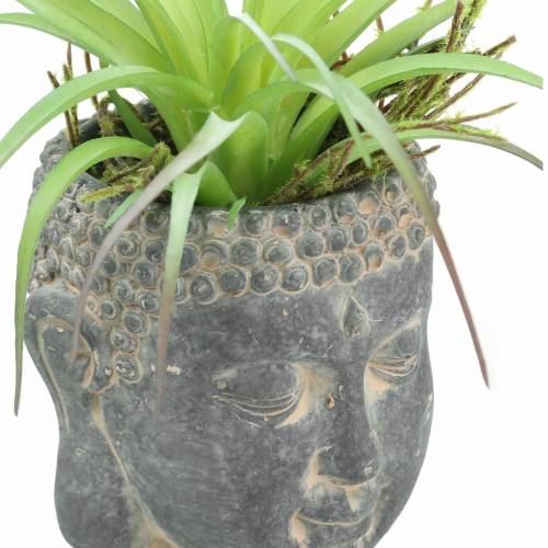 Floristik24 Tête de Bouddha à planter aspect antique béton noir Ø8 H8cm