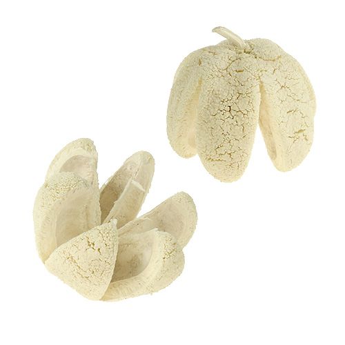 Article Fleur décorative blanchie 12 pcs