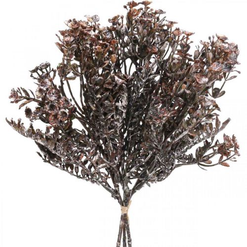 Floristik24 Plantes artificielles marron décoration automne décoration hiver Drylook 38cm 3pcs
