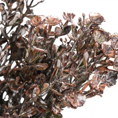Article Plantes artificielles marron décoration d&#39;automne décoration d&#39;hiver Drylook 38cm 3 pcs