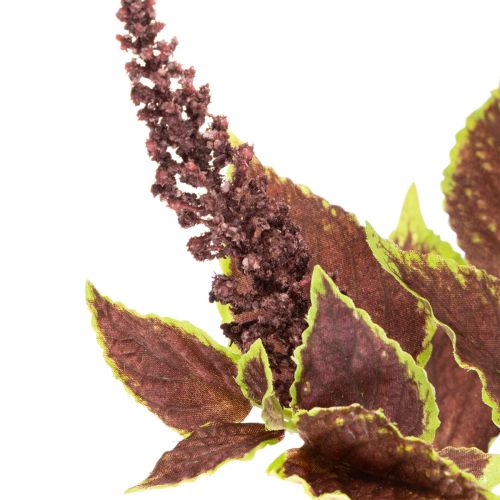 Kolistemon artificiel 20 cm avec feuilles rouges en plastique pour décoration intérieure | Floristik24.fr