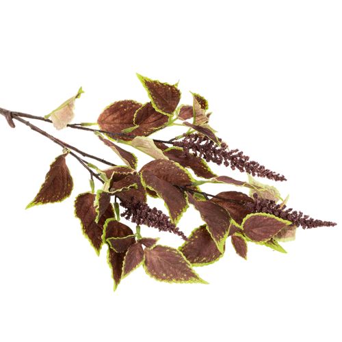 Kolistemon artificiel 20 cm avec feuilles rouges en plastique pour décoration intérieure | Floristik24.fr