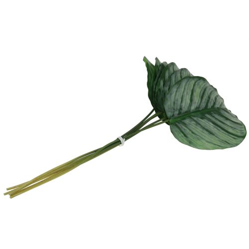 Floristik24 Feuille décorative de calathea 6 p.
