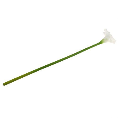 Floristik24 Calla artificielle blanc 67cm