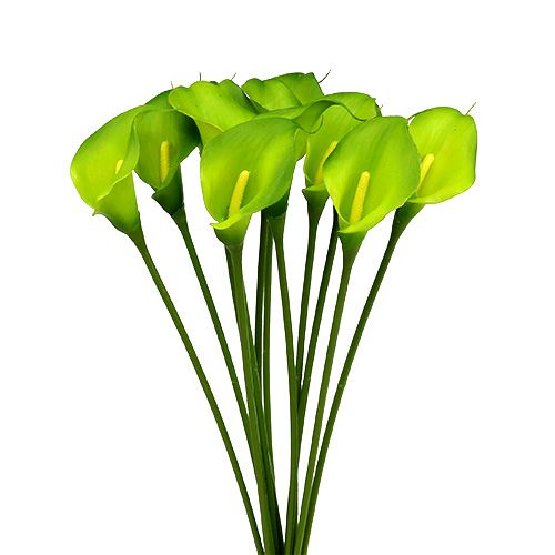 Floristik24 Calla vert artificiel 8cm L57cm 12pcs