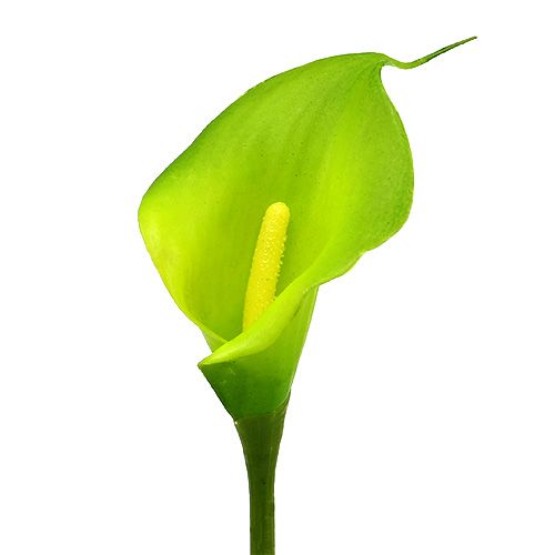 Article Calla vert artificiel 8cm L57cm 12pcs