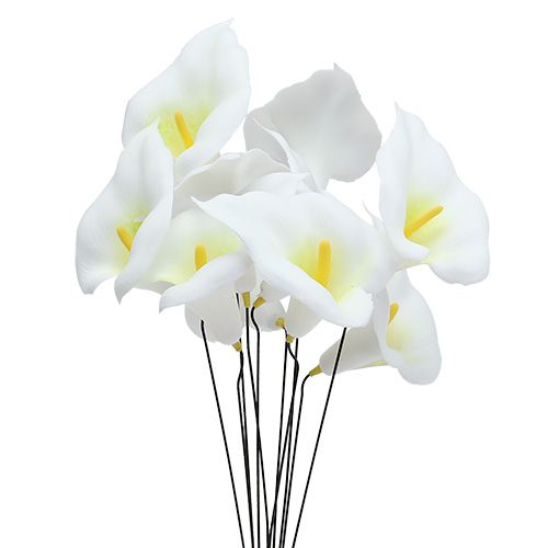 Calla sur fil petit blanc 50 pcs