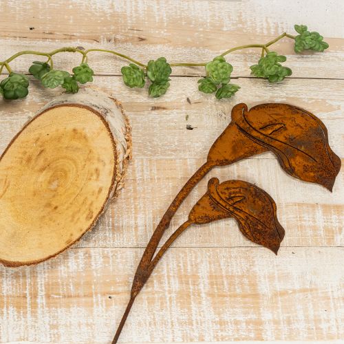 Décoration métallique Calla en finition rouillée 25 cm lot de 6 | Floristik24.fr