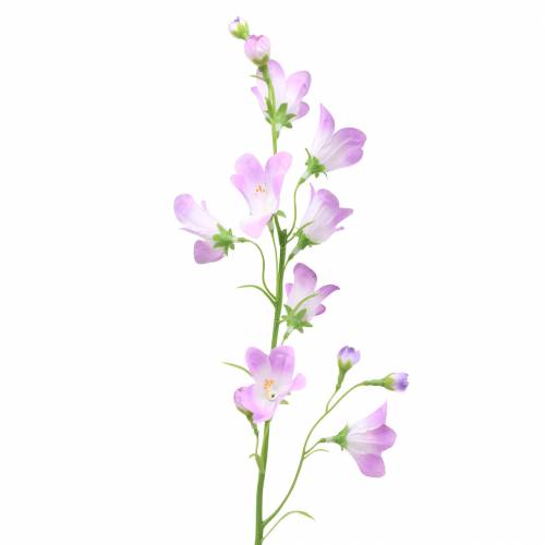 Floristik24 Campanule artificielle Bellflower Purple 66cm