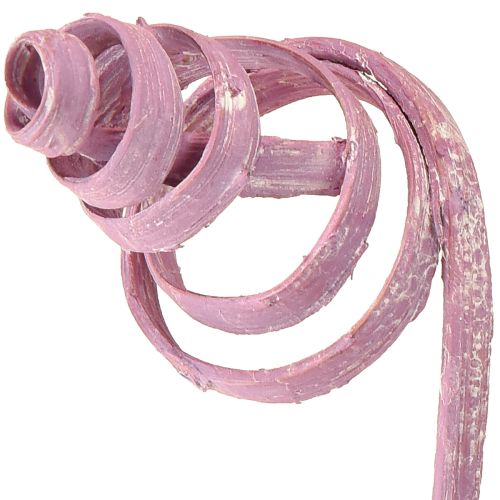 Article Assortiment de cônes de canne à sucre, baies, 30 cm, 75 pièces