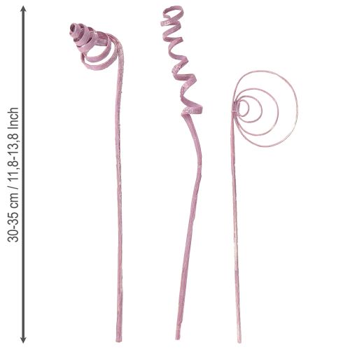 Article Assortiment de cônes de canne à sucre, baies, 30 cm, 75 pièces