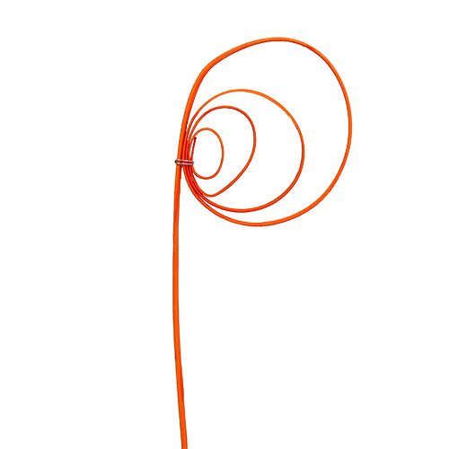Article Tiges de canne enroulées naturelles Orange 40-50cm 25pcs